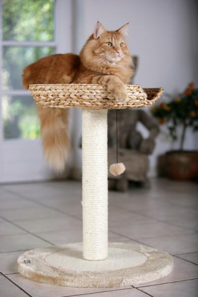 Karlie Katzenkratzbaum Banana Leaf I - Katzenbett und Kratzstamm